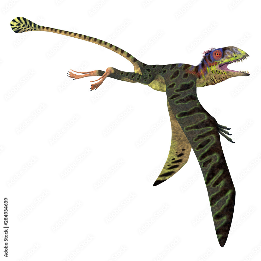 Flying and Swimming Dinosaurs and Prehistoric Reptile or Lizard.  Plesiosaurs or Liopleurodon, Pterodactyloidea or Stock Vector -  Illustration of marine, carnivore: 79545458