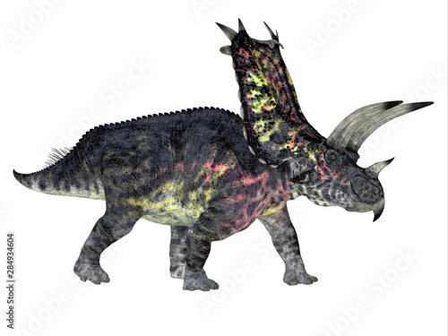 Pentaceratops Dinosaur Side Profile - Pentaceratops was a herbivorous Ceratopsian dinosaur that lived during the Cretaceous Period of North America.  photo