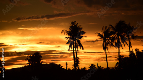 View of golden sky after sunset and coconut tree