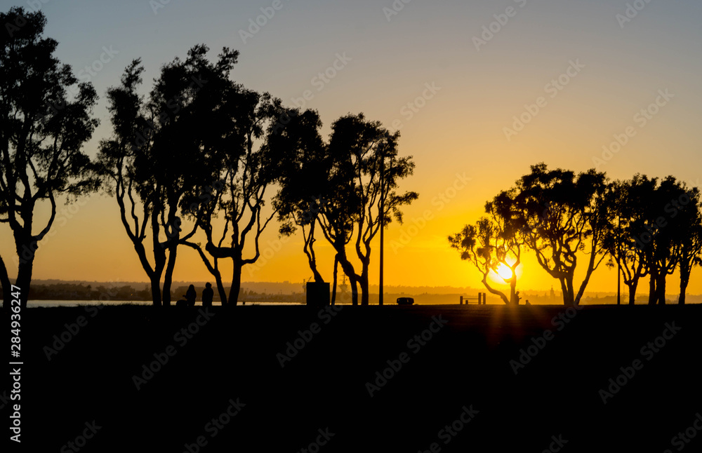 Fototapeta premium Silhouettes of people walking in the park during sunset