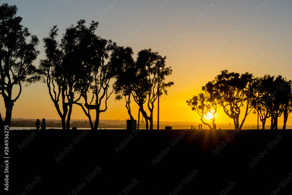 landscape photo of sunset and silhouettes