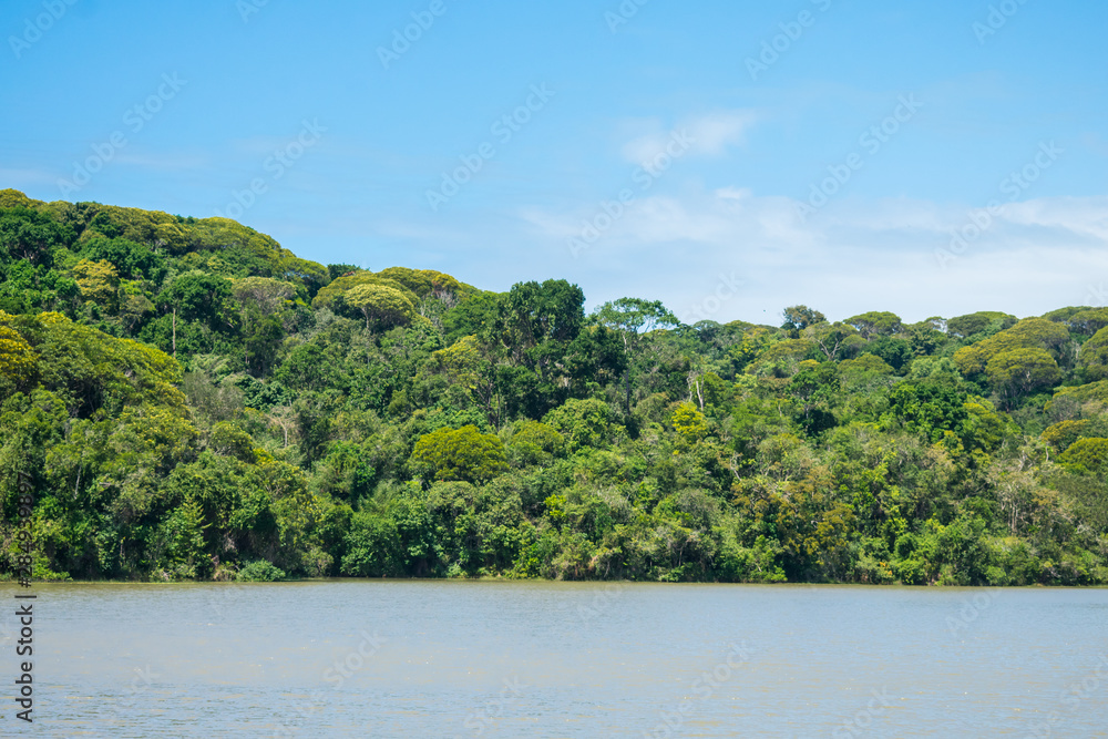 Lagoa da Mata, beautiful lagoon surrounded by preserved Atlantic Forest on Itamaraca island, Brazil