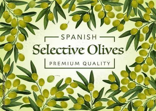 Spanish premium quality olives, farm market