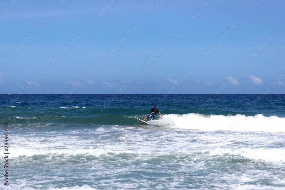 surf 8 surf 8
