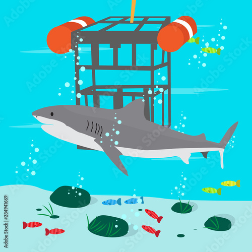 Shark cage diving with a shark. Scuba diving concept - Vector