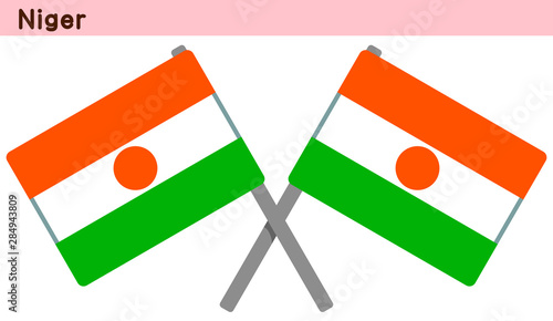 交差したニジェールの国旗