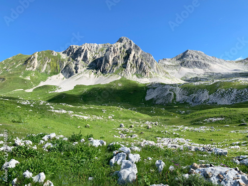 Abkhazia, plateau Arabica and mountain Arabica in summer day