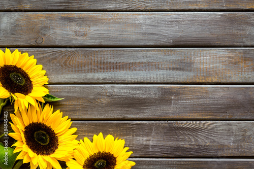 Sunflower frame on wooden background top view mock up