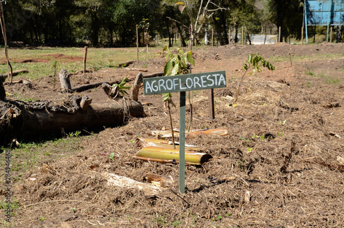 Agrofloresta