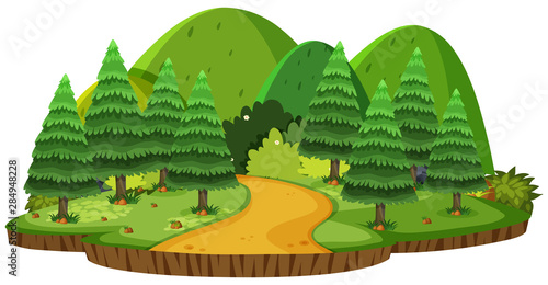 Nature landscape of green hills and pine trees