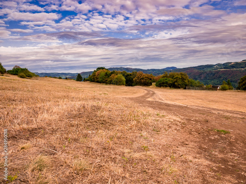Dry meadow with a dusty path under a blue sky with beautiful fluffy clouds. Water scarcity in Central Europe - climate change - extreme drought