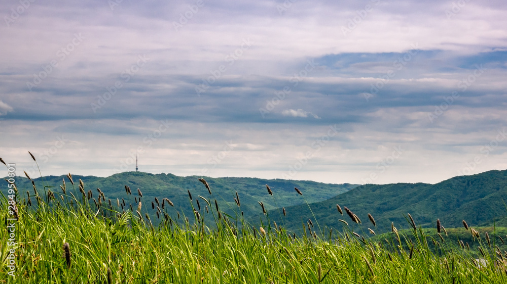 Wind is blowing high grass in the foreground and in the background is the panoramic mountain scenery with television tower(Buková hora) on the horizon. Wind is blowing high grass in the foreground and in the background is the panoramic mountain scenery with television tower(Buková hora) on the horizon.
