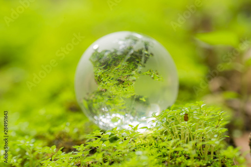 Close up of glass globe in the forest.