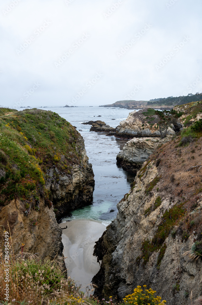 A sandy cove below the Bird Island Trail at the Point Lobos State Natural Reserve in California.