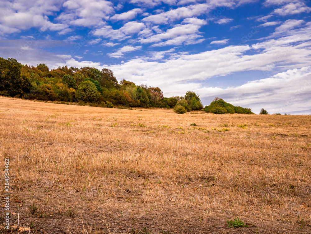 Dry meadow due to water scarcity in Central Europe - climate change - extreme drought