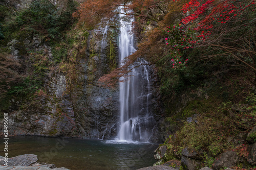  Refreshing Osaka Prefecture in Japan