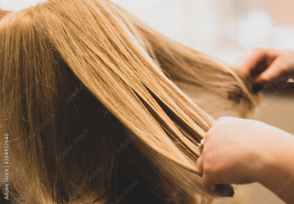 Obraz premium Golden blonde hair on a woman in a beauty salon