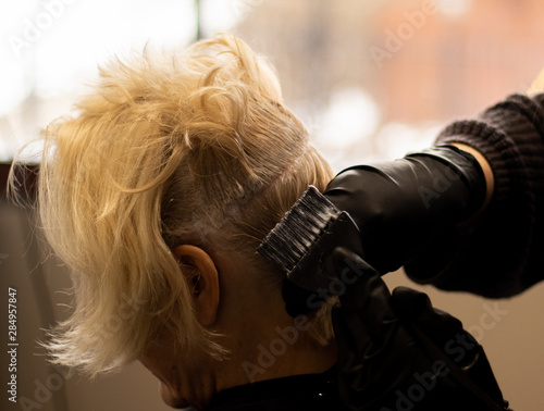 Hair color application process by a professional stylist in a salon