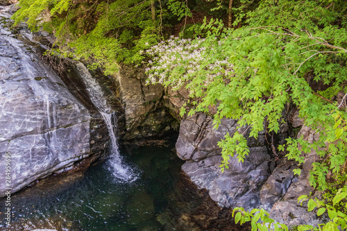 Refreshing Wakayama Prefecture Japan