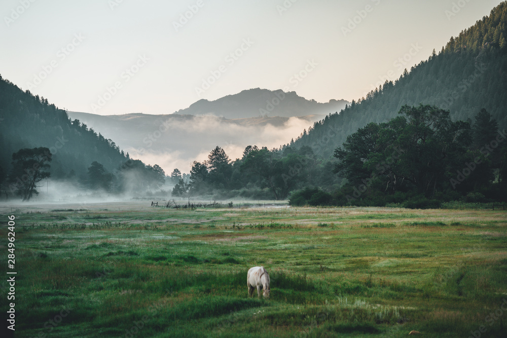 Obraz premium Foggy Valley Landscape