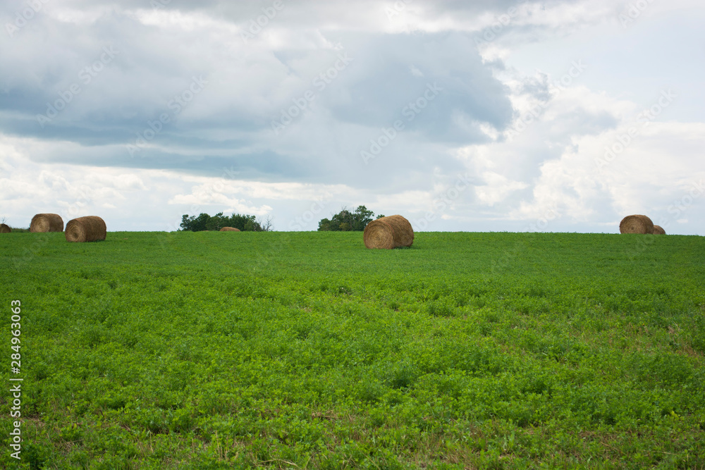 Hay bales in green hay field farm land