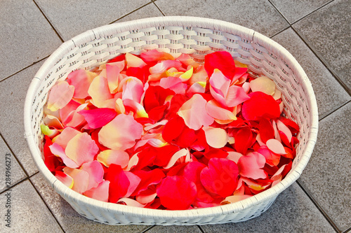 Petals in basket photo