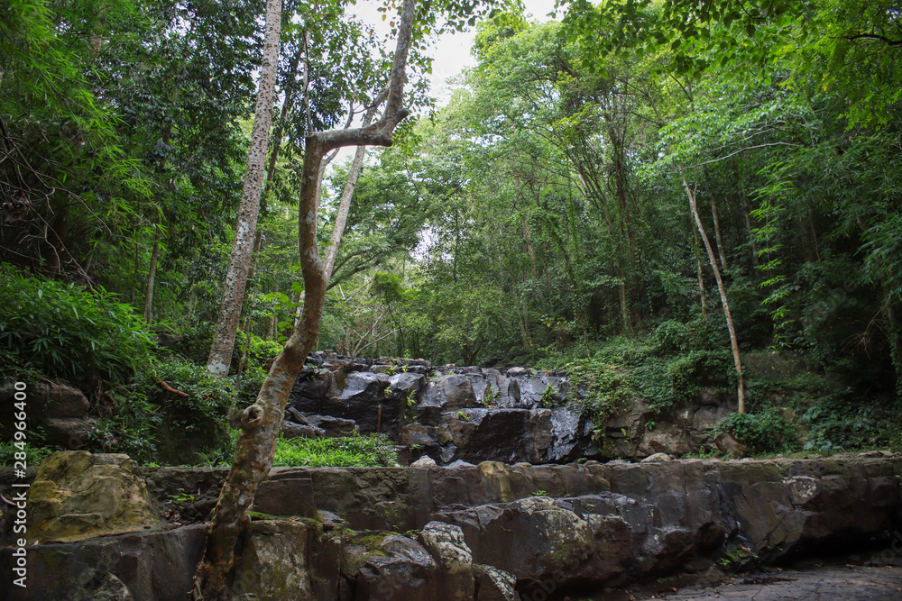 Fototapeta premium waterfall in the forest