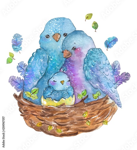 Watercolor birds family mother, father and chick in nest over white