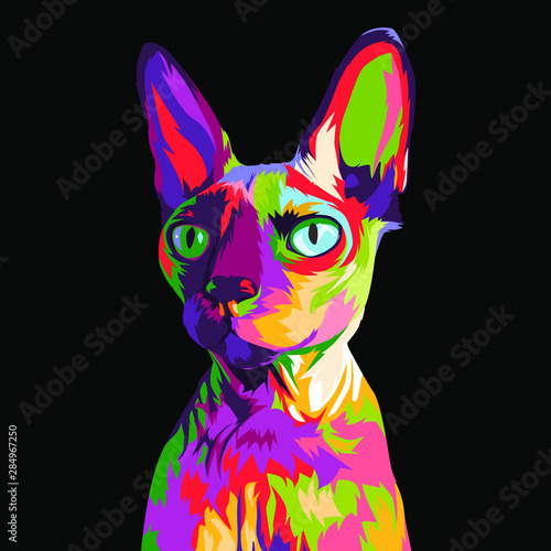Sphyx Cat in colorful pop art illustration