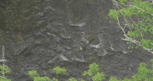 Wissahickon Creek, high angle, looking fown from Walnut Lane bridge photo