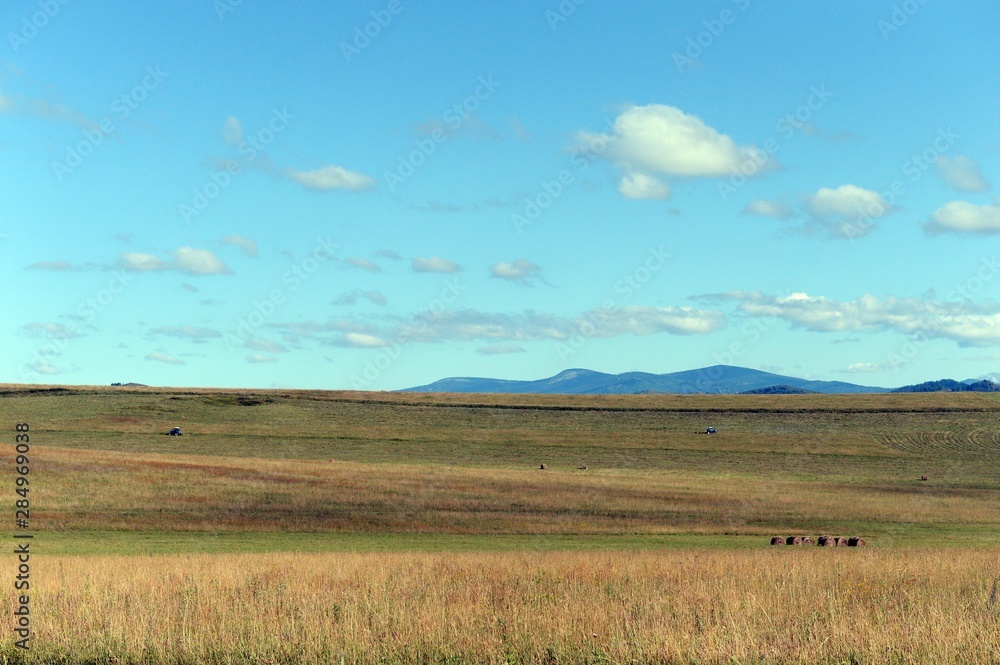 Obraz premium Russia.Western Siberia. Forage harvesting in the foothills of the Altai mountains