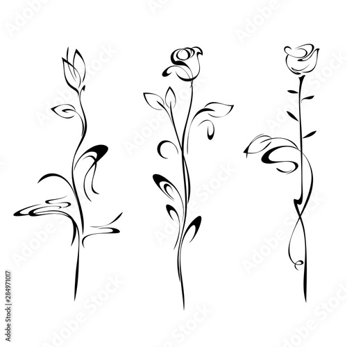 flower bud on a high stalk with leaves and curls in black lines on a white background. SET