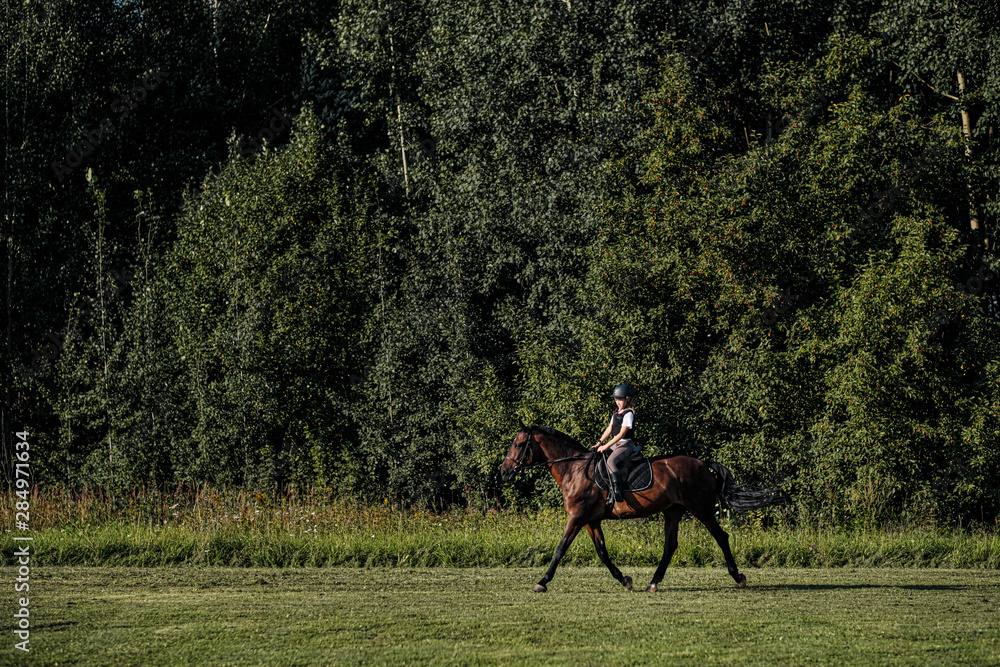 Girl teenager jockey trains on the field and at the hippodrome. Girl teenager jockey trains on the field and at the hippodrome.