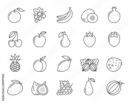 Fruit berry food orange kiwi line icon vector set