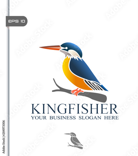 Vector illustration of Kingfisher bird icon