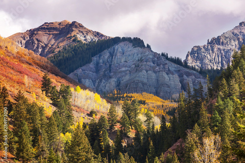 Autumn in Colorado