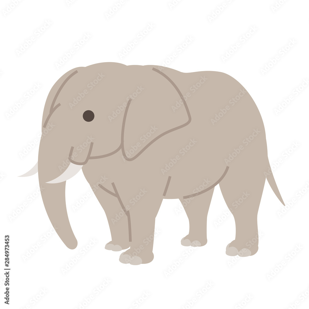 ゾウ ゾウ