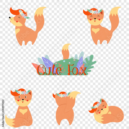Cute fox set isolated on transparent background