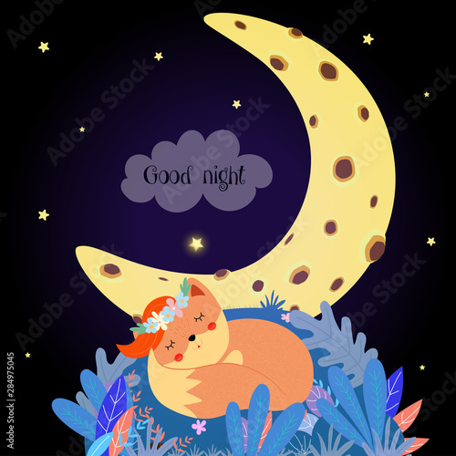 Cute fox sleeping curl up in forest field at night