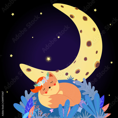 Cute fox sleep under moon starry sky. Good Night