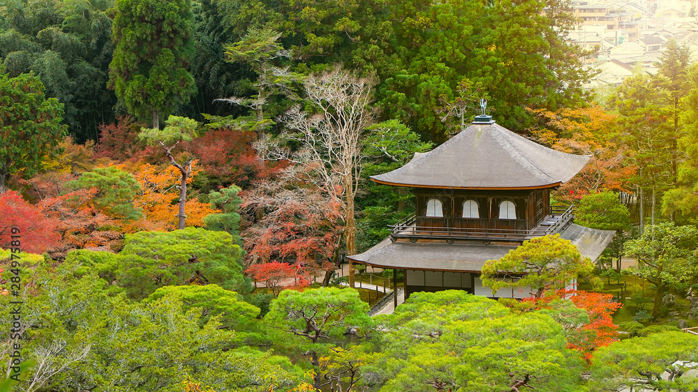 Top view of UNESCO World Heritage site Ginkakuji Temple on the hill surrounded by autumn leaves in Kyoto, Japan