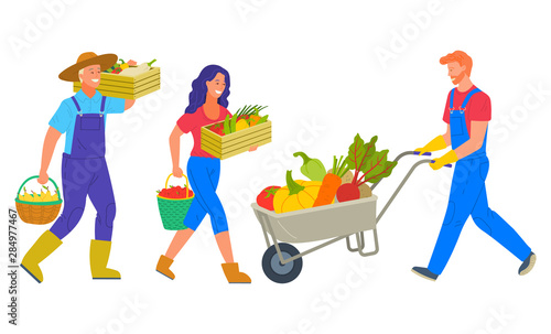 People harvesting on farm vector, isolated man and woman carrying pire vegetables. Character with cart transporting pumpkins and carrots beetroots