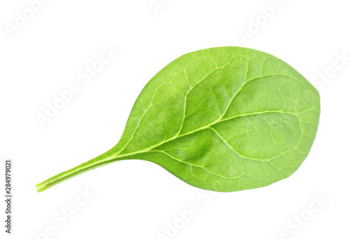Fresh green healthy baby spinach leaf isolated on white