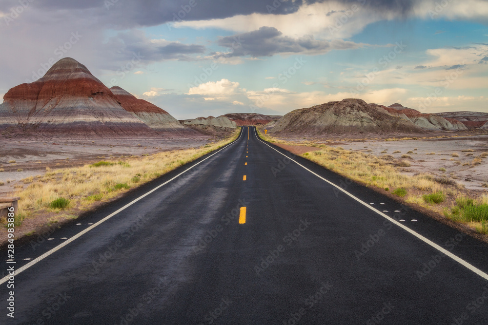 The Road in the Painted Desert