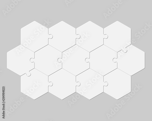 Thirteen pieces puzzle jigsaw hexagon info graphic