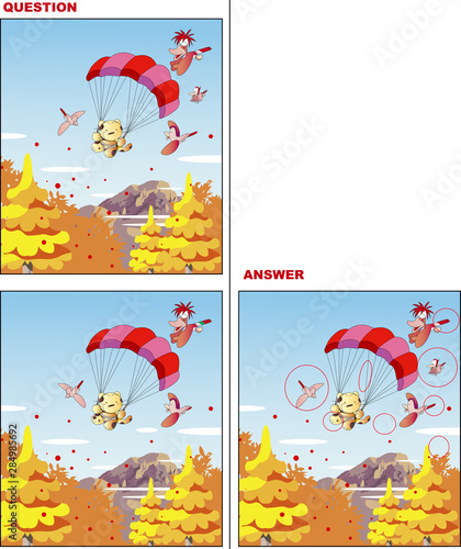 間違い探しクイズ、パラグライダーの猫