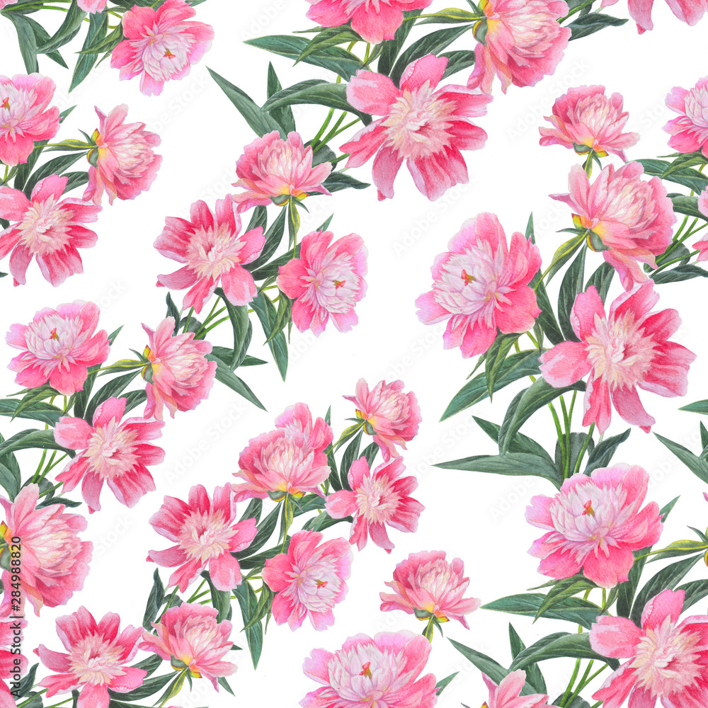 Seamless pattern with beautiful pink peonies isolated on white. 