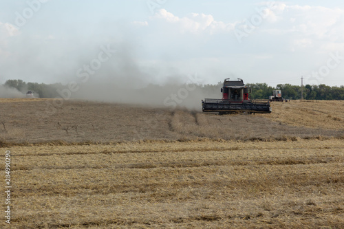 Combine in the field removes ripe rye or wheat. Summer season.