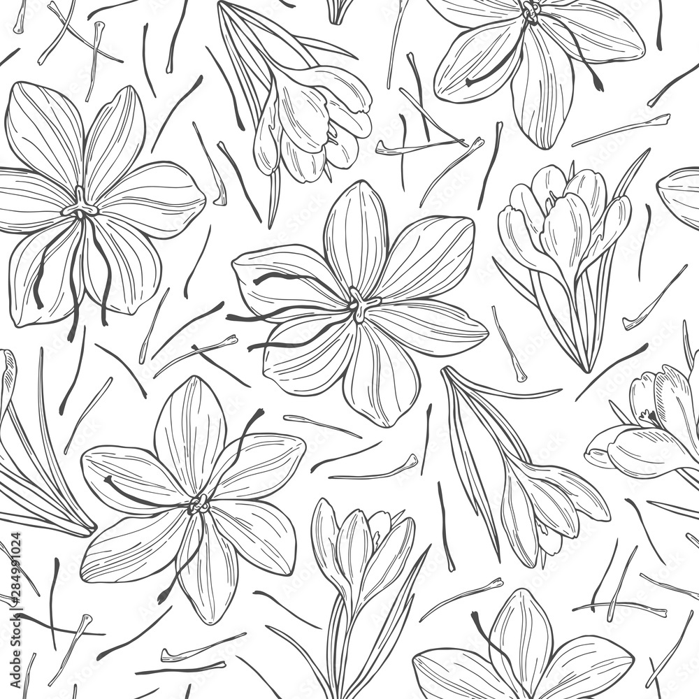 Obraz premium Vector seamless pattern with hand drawn saffron spice.