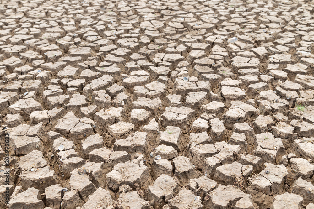 Drought of water sources. The impact of rain does not fall seasonally. Reservoir condition for drought consumption. Drought of water sources. The impact of rain does not fall seasonally. Reservoir condition for drought consumption.
